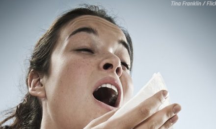 What to Do About Allergies After Moving