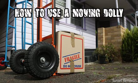 How to Use a Moving Dolly: Furniture Dolly vs. Appliance Dolly