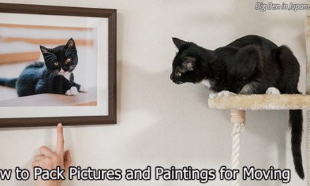 Picture This: How to Pack Pictures and Paintings for Moving